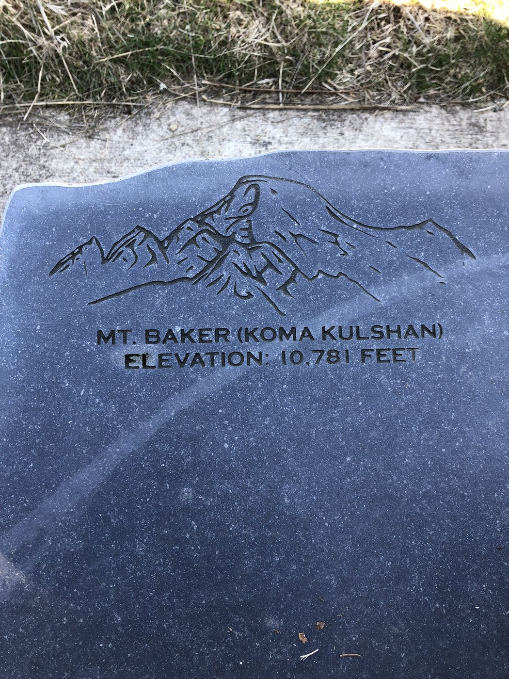 Details on the bench near viewpoint