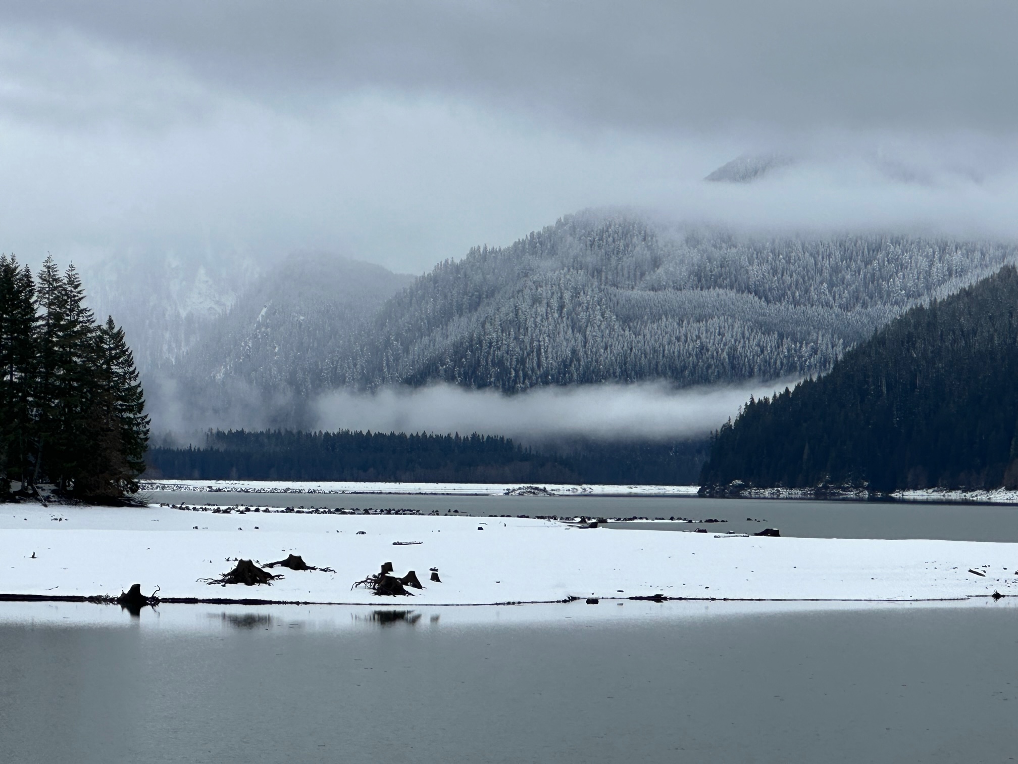 Baker Lake Maple Grove — Washington Trails Association
