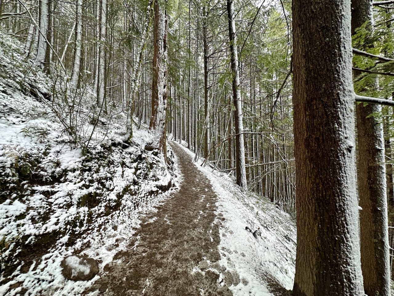 Rattlesnake Ledge — Washington Trails Association