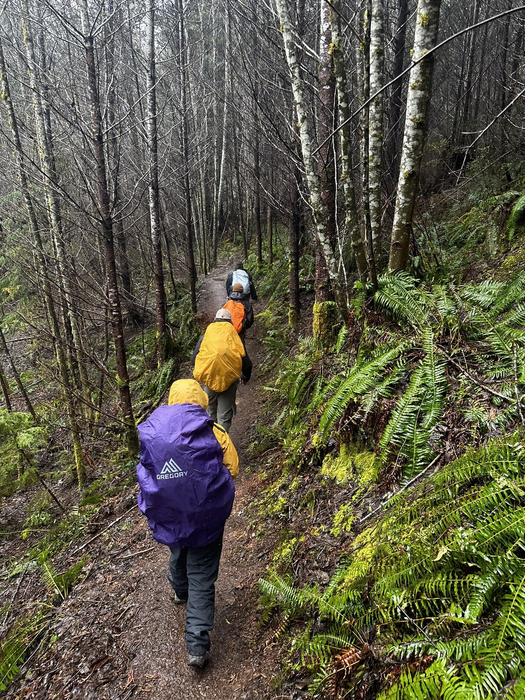 Green Mountain - Gold Creek Trail by Yeti