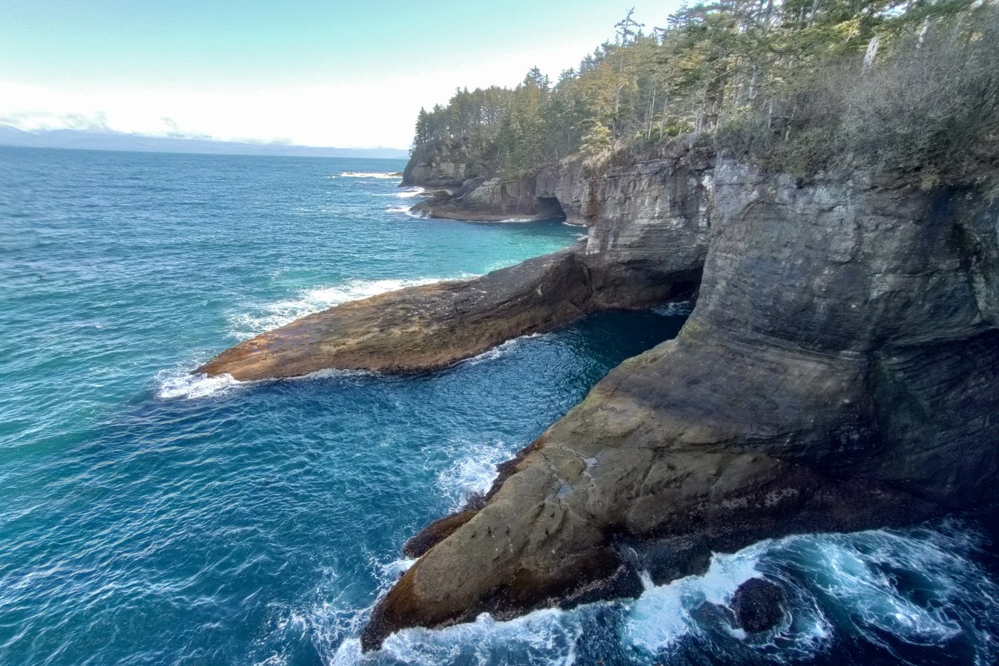 Viewpoint #3