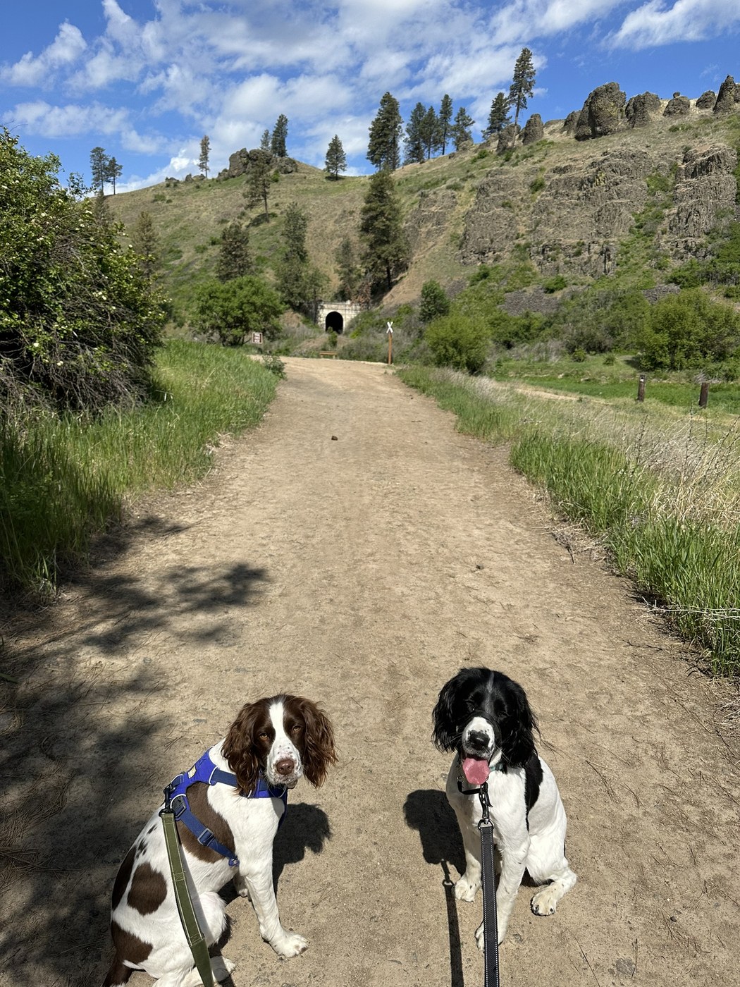 Colfax Trail by 2zOutdoors