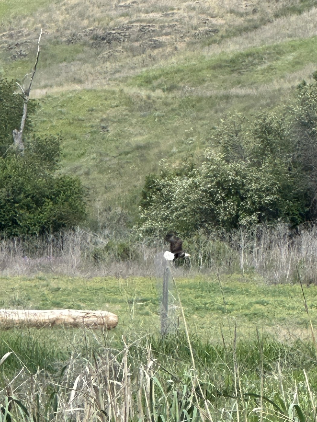 Colfax Trail by 2zOutdoors