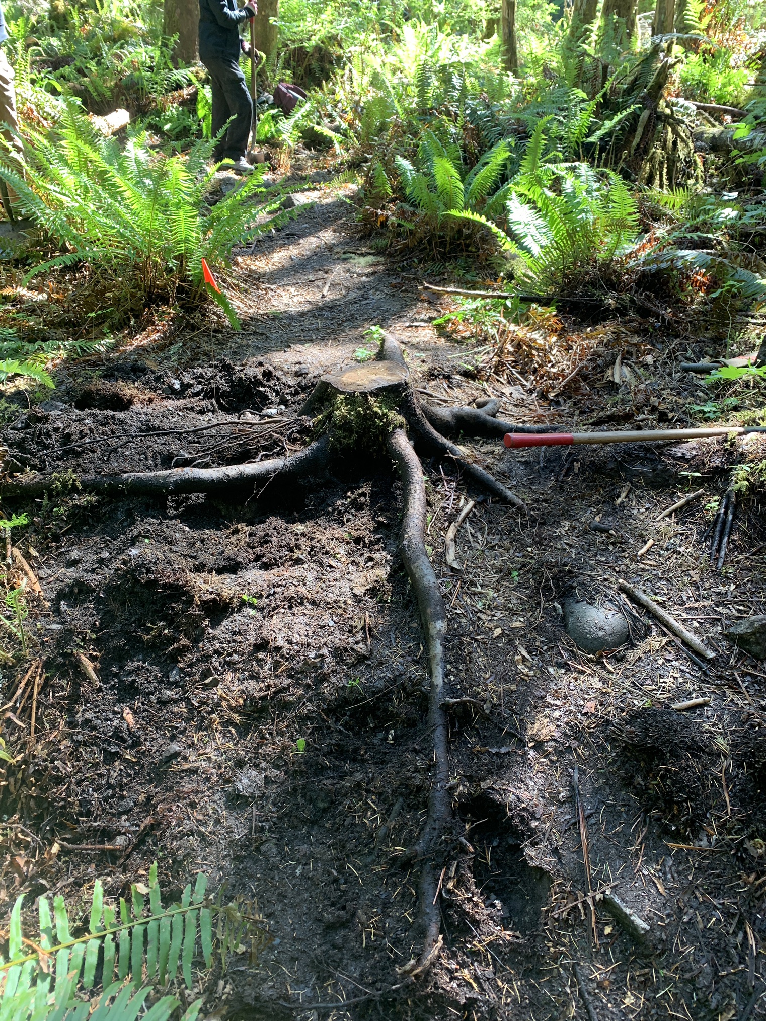 Horseshoe Bend — Washington Trails Association