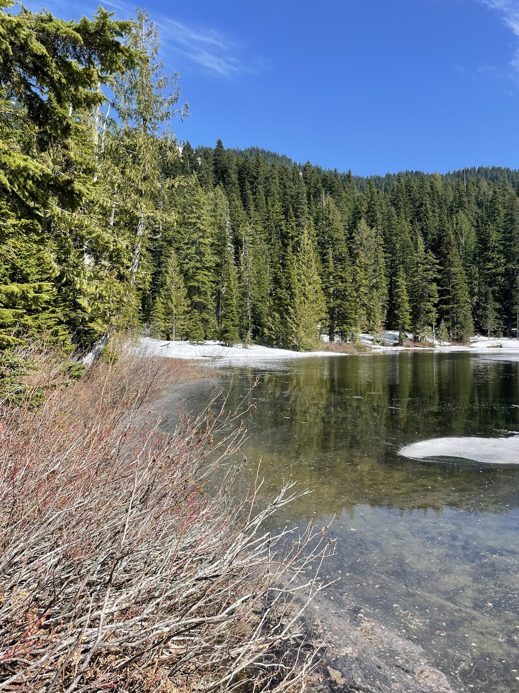 Talapus and Olallie Lakes by Michelle Hook