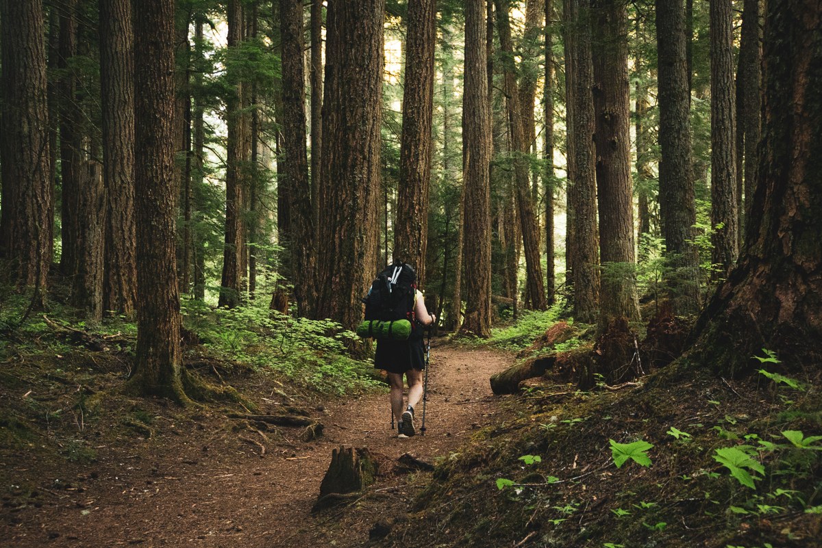 Heading down the trail