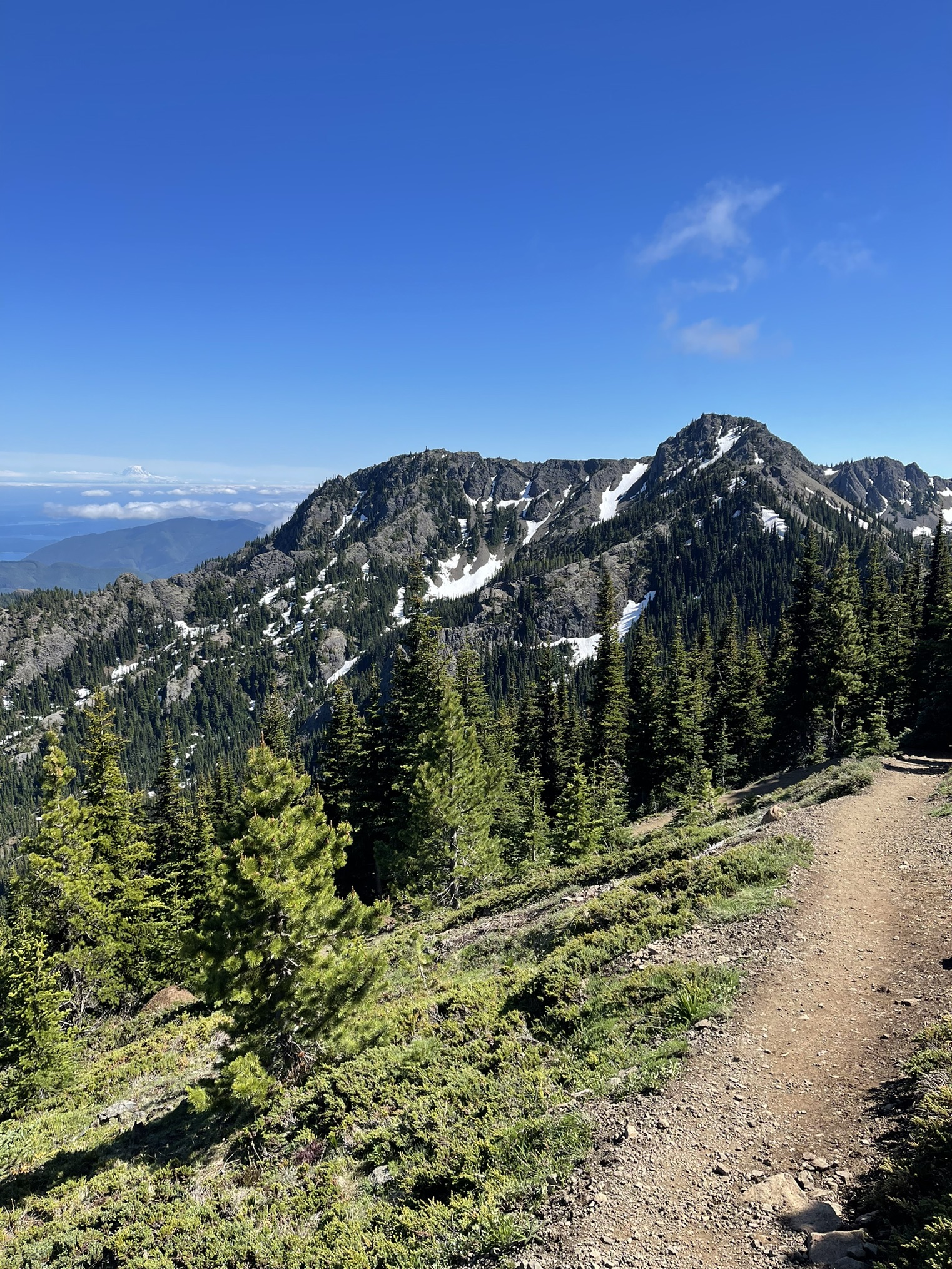 Mount Townsend — Washington Trails Association