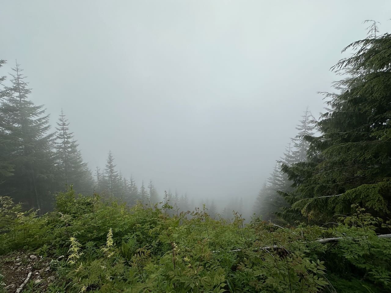 View from Grand Prospect :(