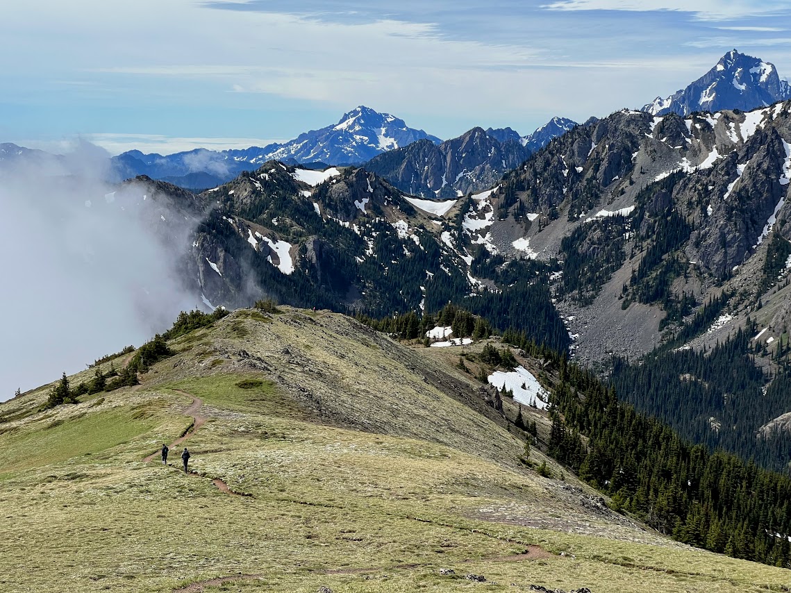 Mount Townsend — Washington Trails Association