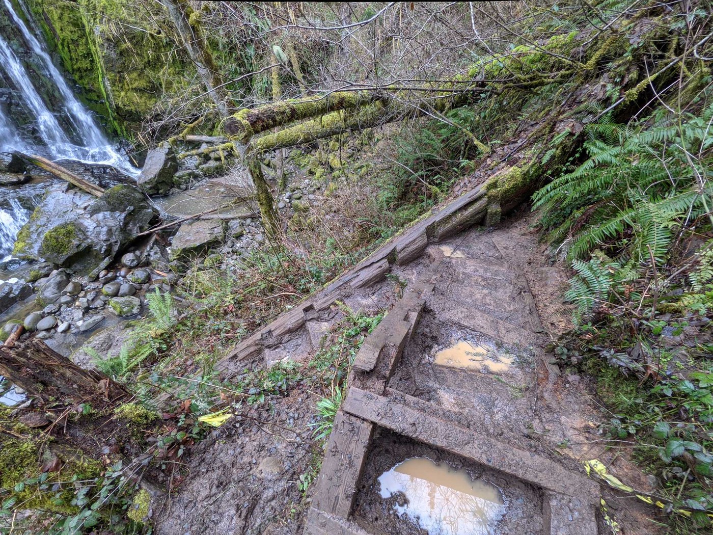 Little Mashel Falls - Bud Blancher Trail by Raczabel