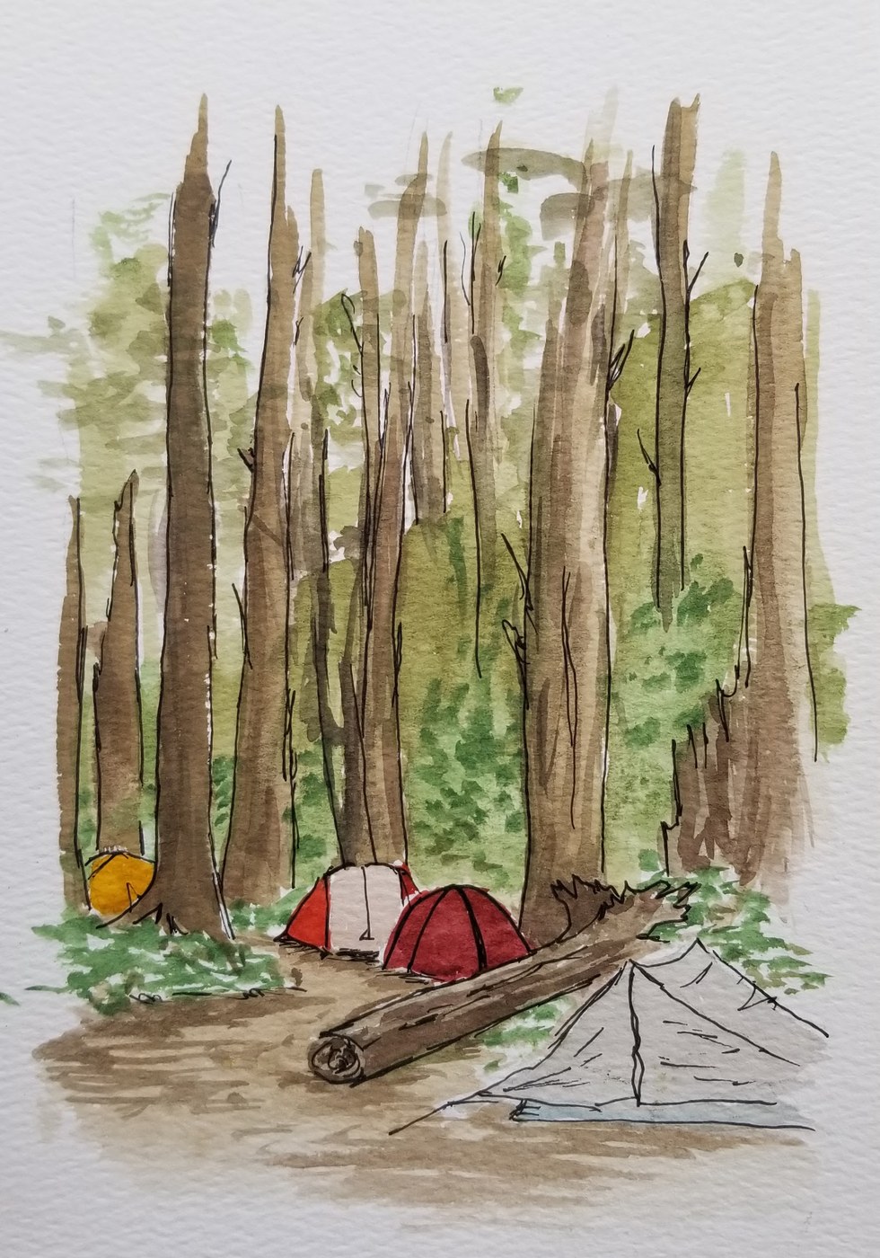 South Coast Wilderness Trail Toleak Point, Third Beach, Oil City — Washington Trails Association