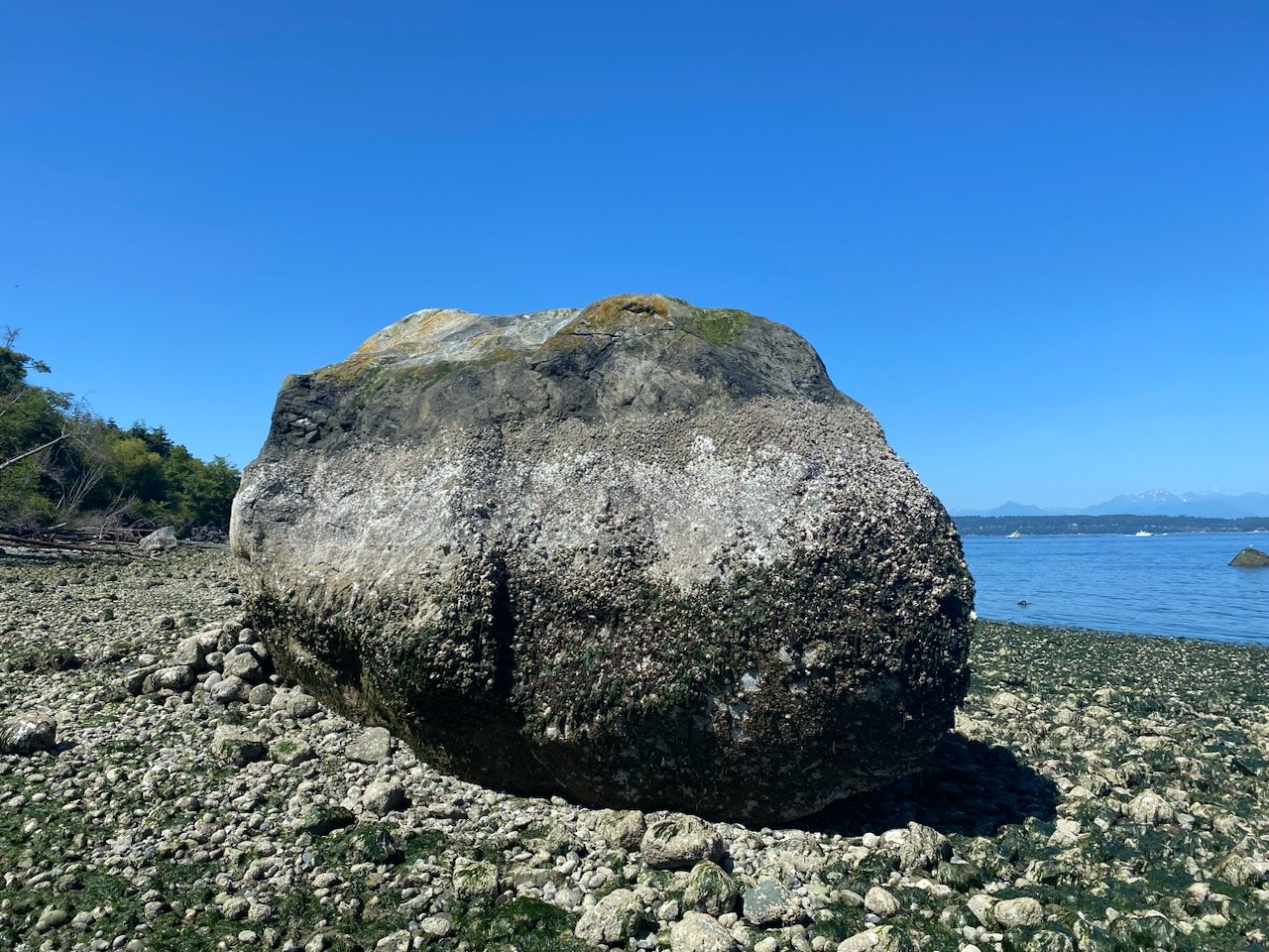 Discovery Park Erratic