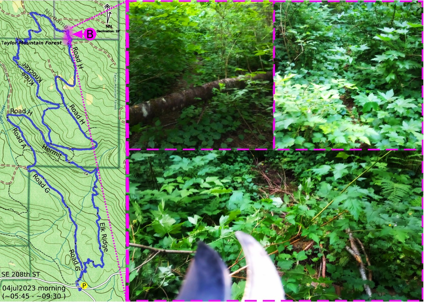 Solved 5. Suggest a mechanism for each of the following | Chegg.com, image size:1400x997