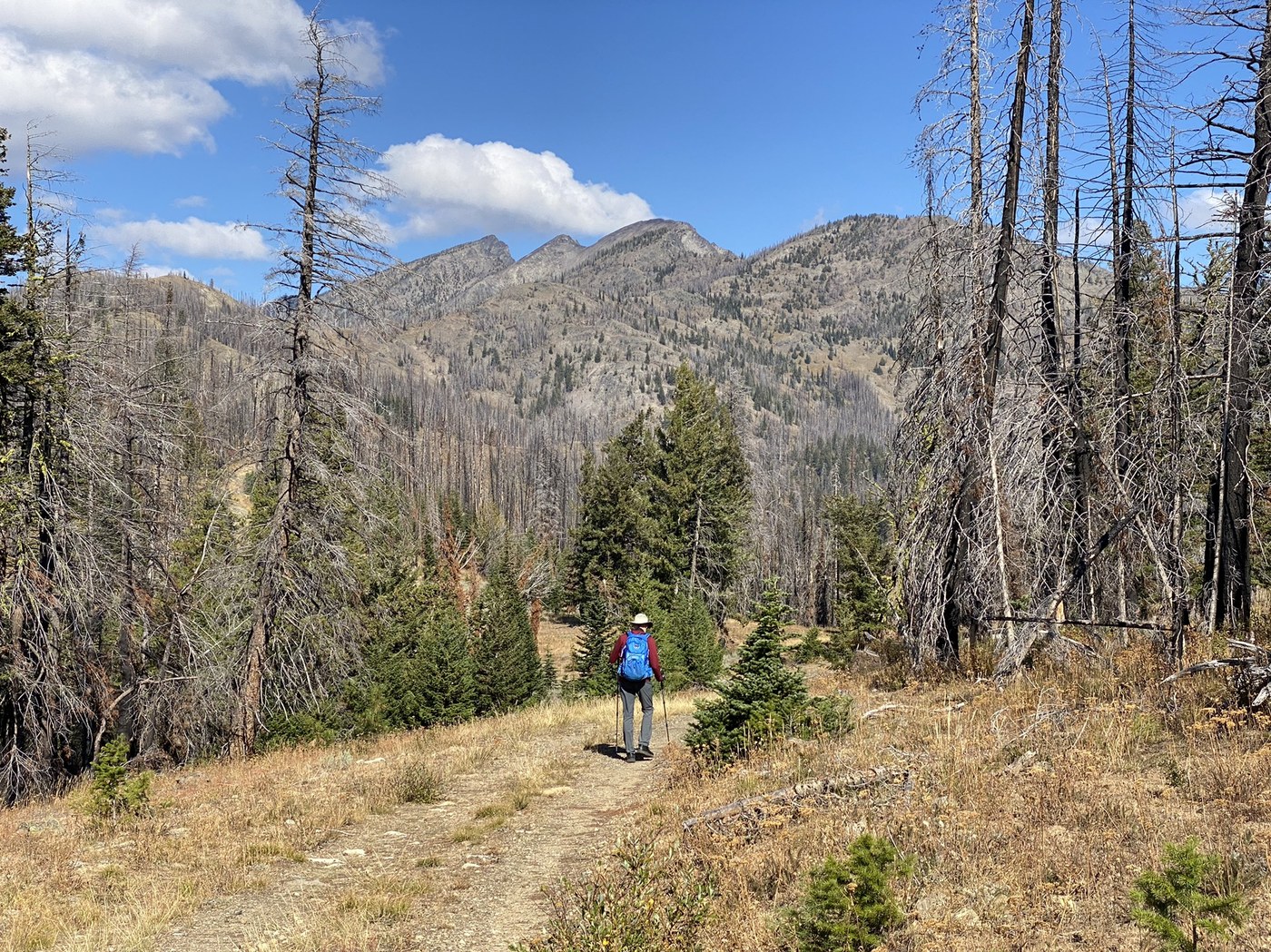 Sweetgrass Butte by pptemple@gmail.com