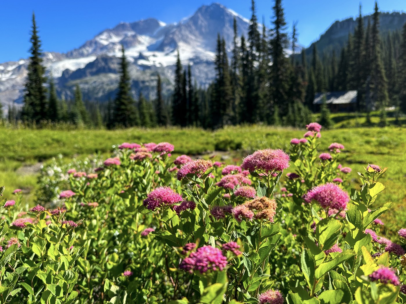 Kautz Creek to Indian Henry's Hunting Ground, Mirror Lakes