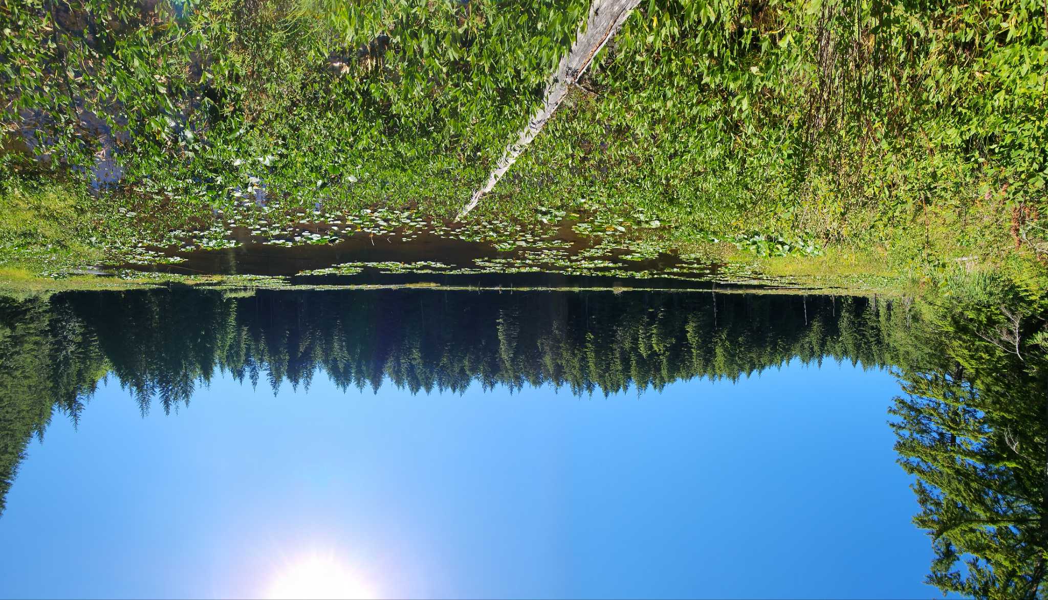 Lily and Lizard Lake Loop, Oyster Dome — Washington Trails Association