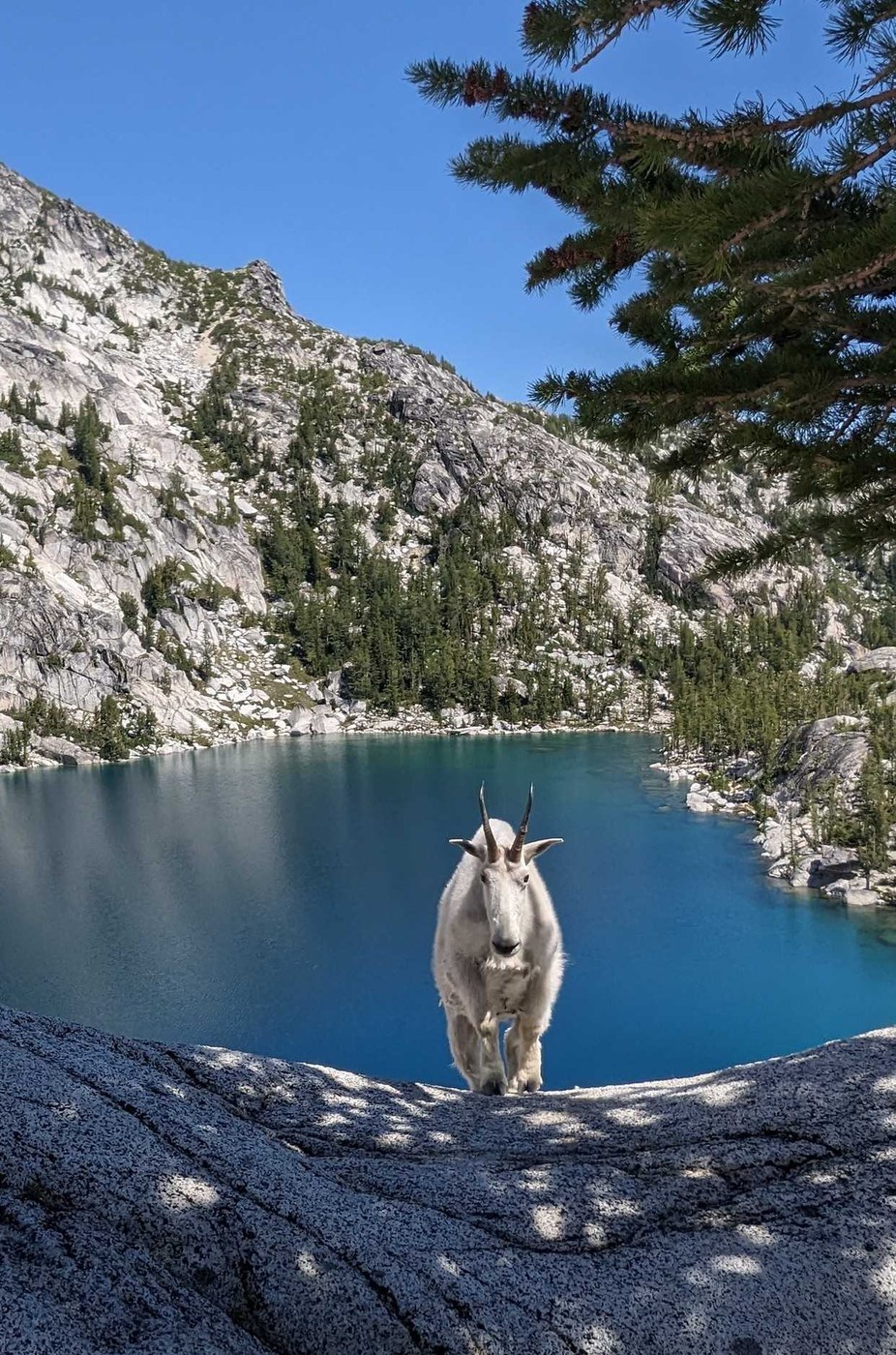 The Enchantments — Washington Trails Association