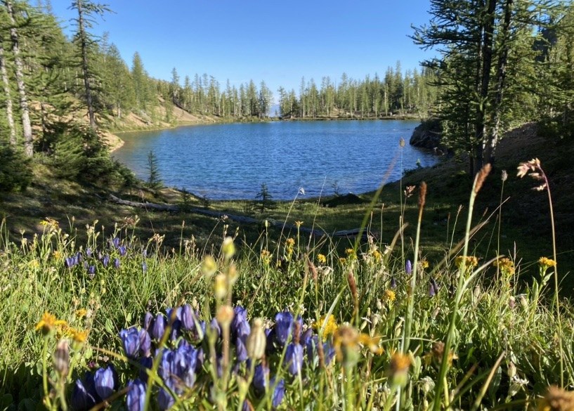 Scatter Creek, Abernathy Peak, Scatter Lake by grinder
