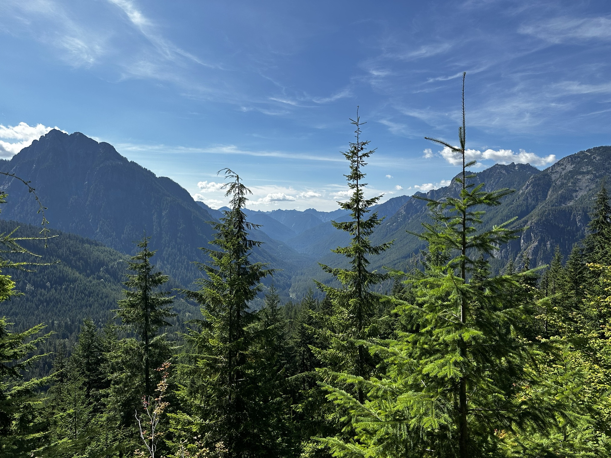 Frog Mountain — Washington Trails Association