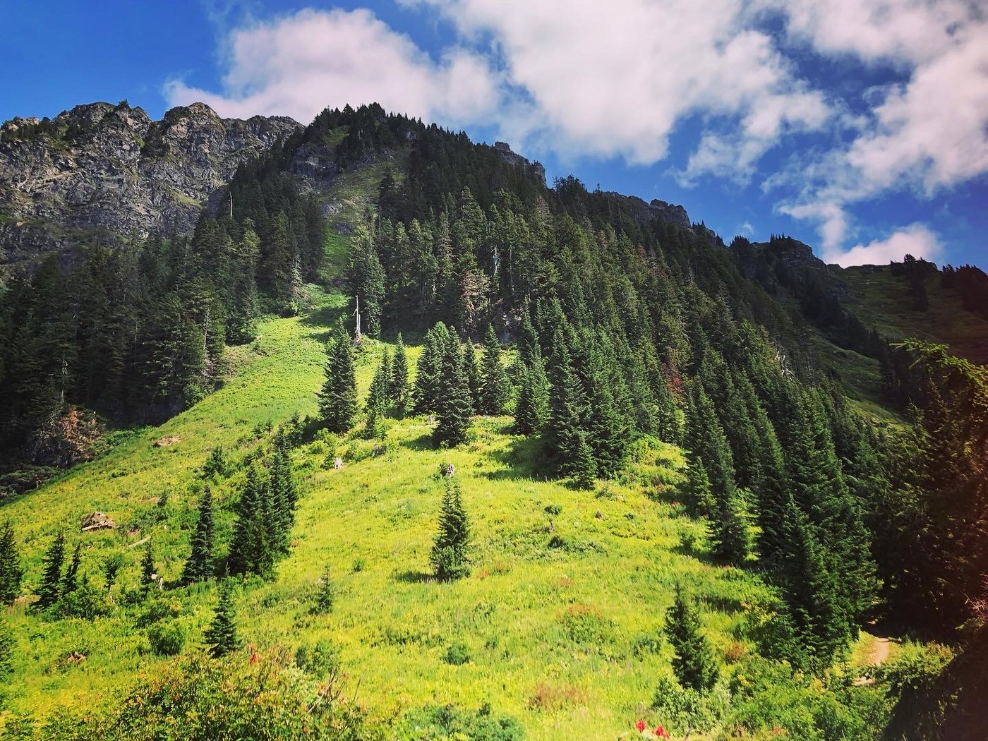 The view of Sauk Mountain from the trailhead parking lot.