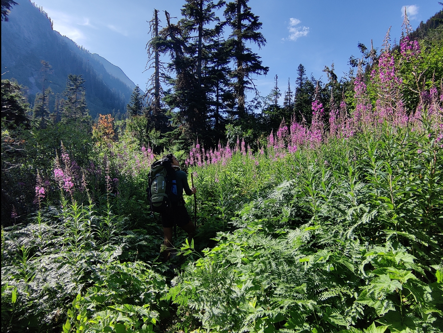 Little Kachess, Mineral Creek, Park Lakes, Glacier Lake, Spectacle Lake
