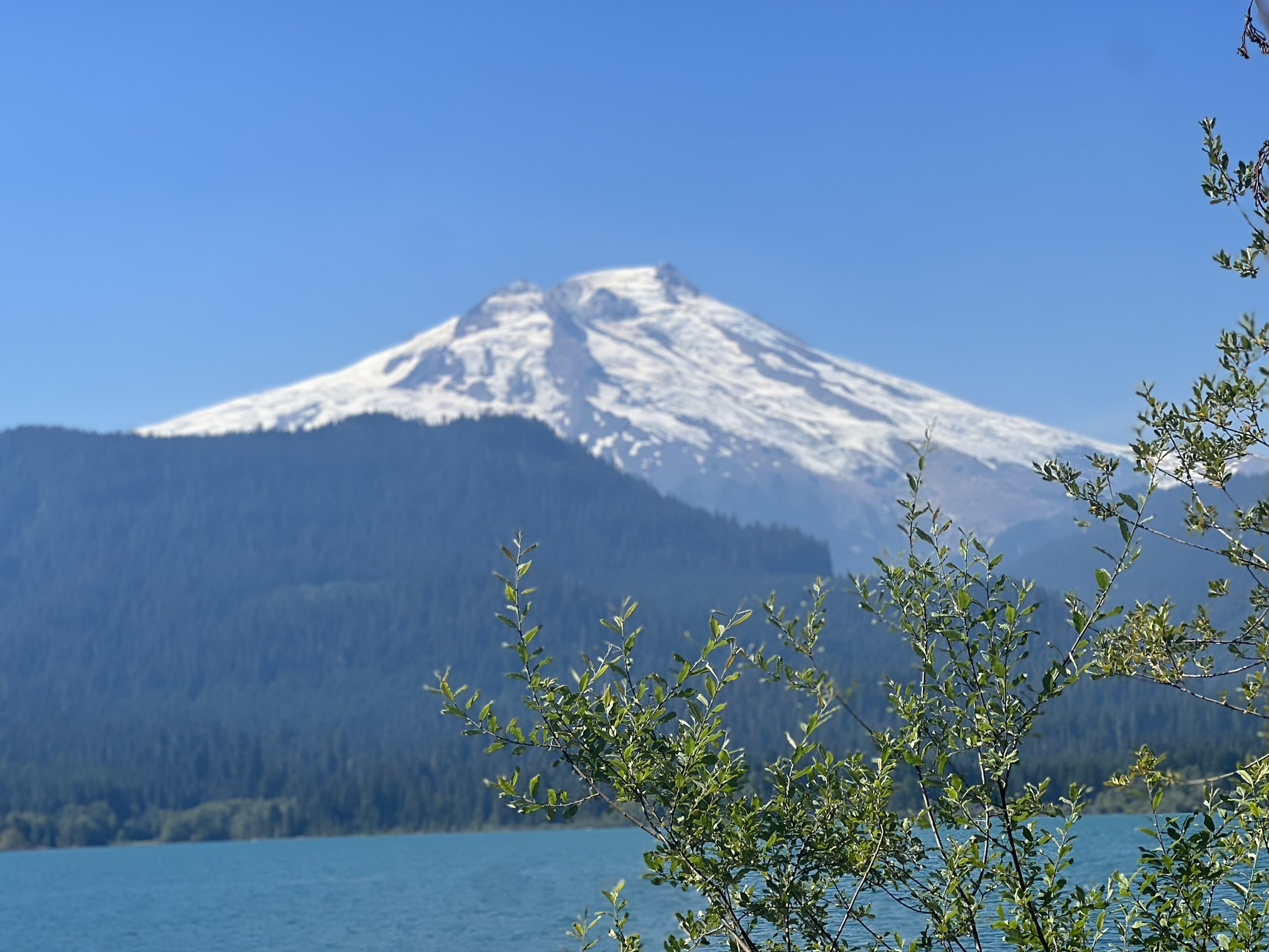 Baker Lake Maple Grove — Washington Trails Association