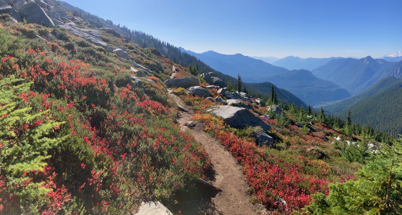 Fall colors in full swing