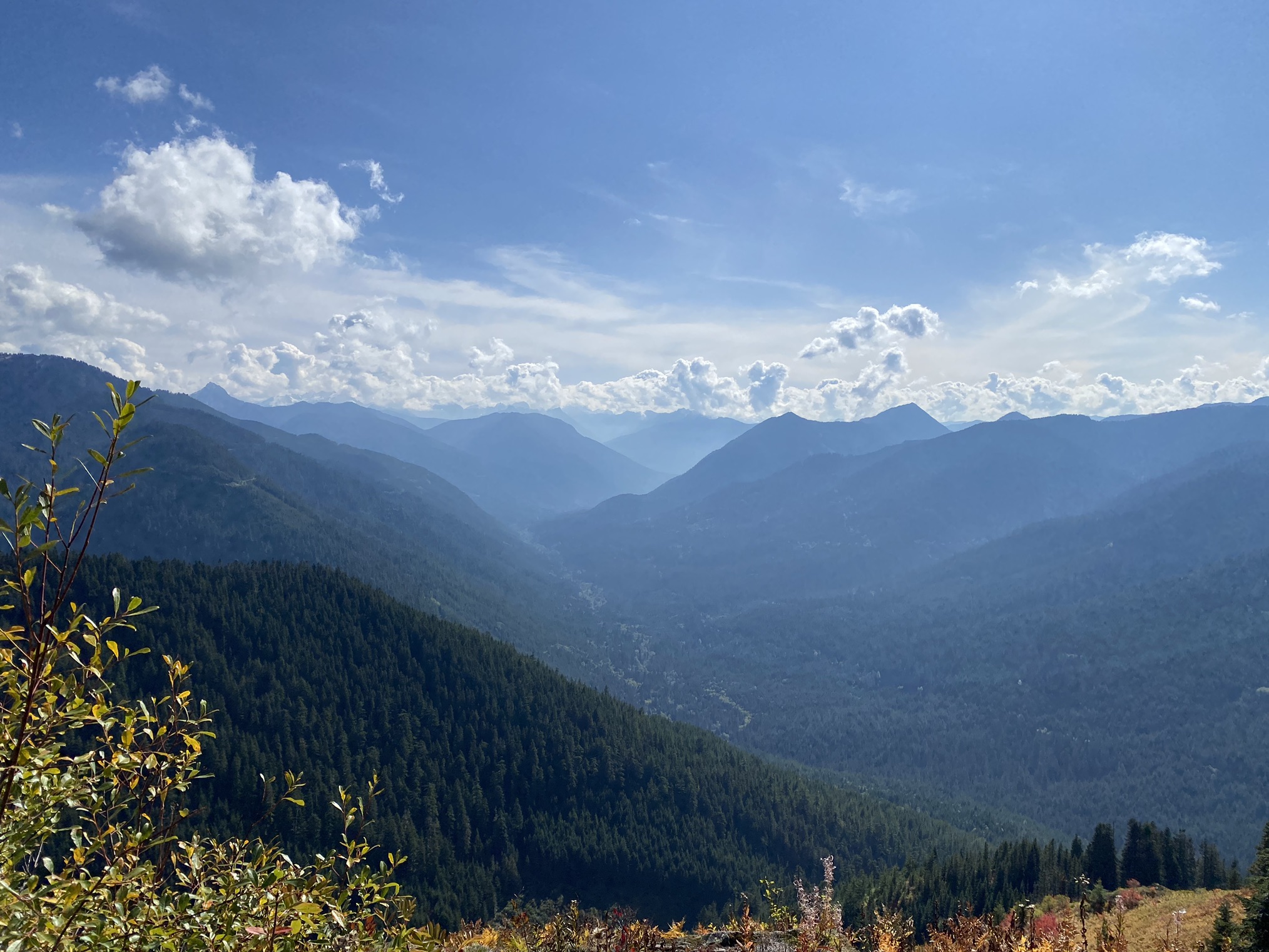 Frog Mountain — Washington Trails Association