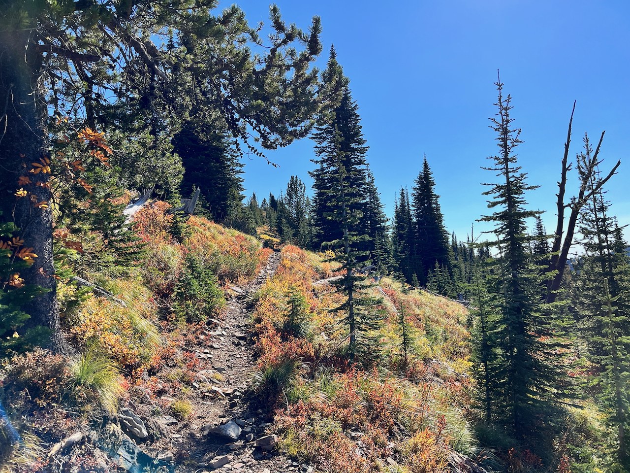 The rocky climb near the top of Abercrombie Mountain in October. Photo by DaphneF