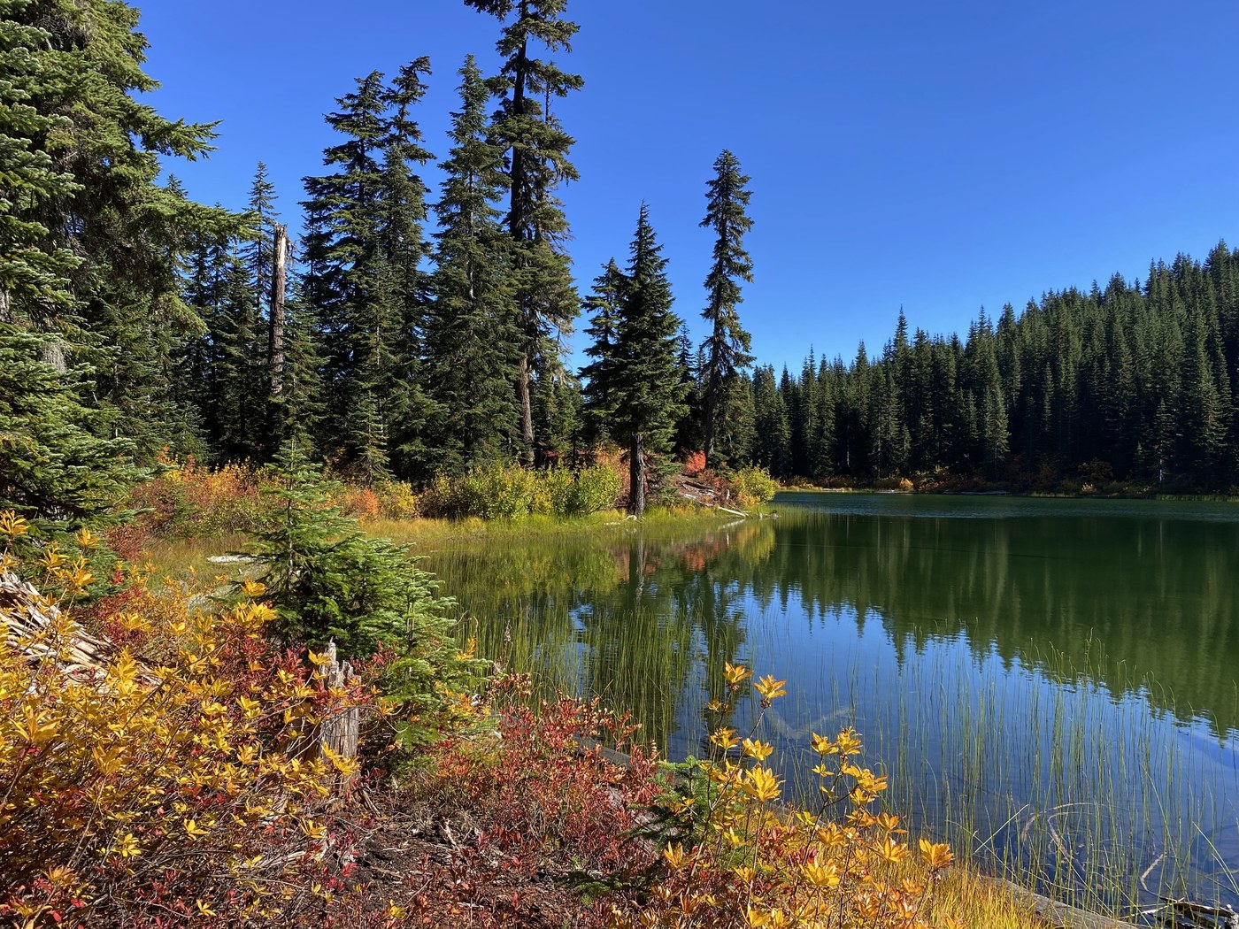 Fall color at Thorp Lake by JKnapper