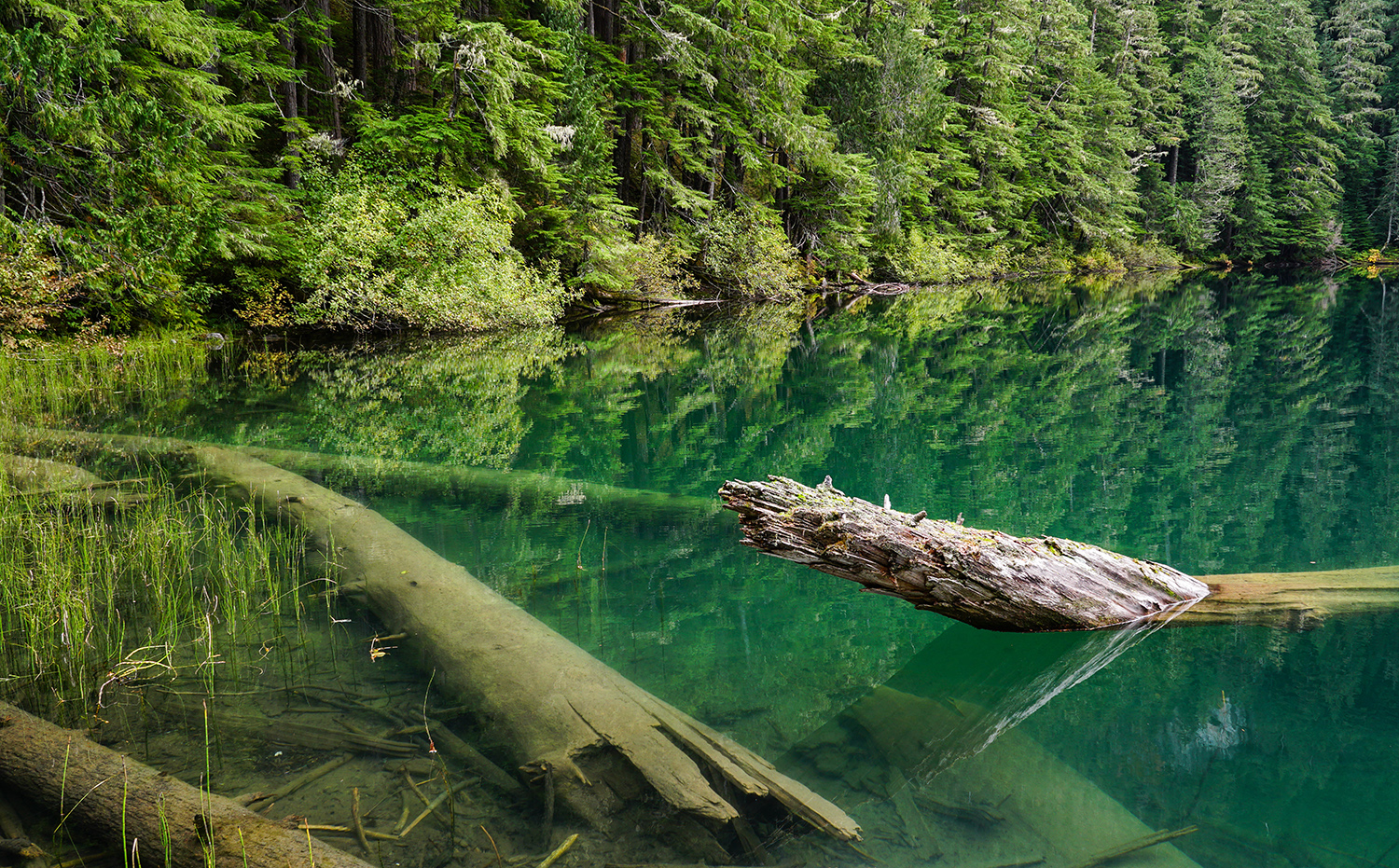 Green Lake — Washington Trails Association