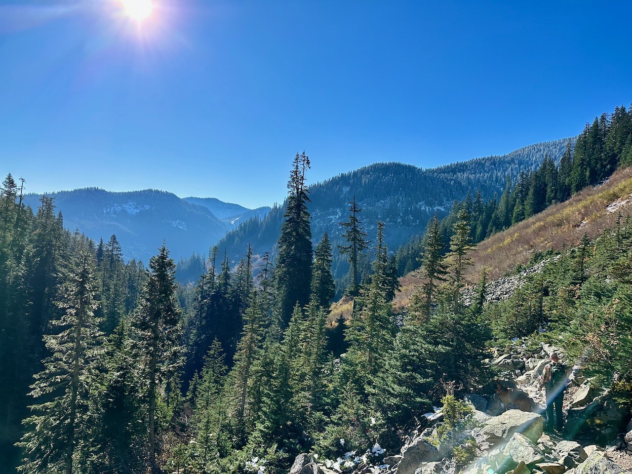 Valley from above Keekwulee Falls