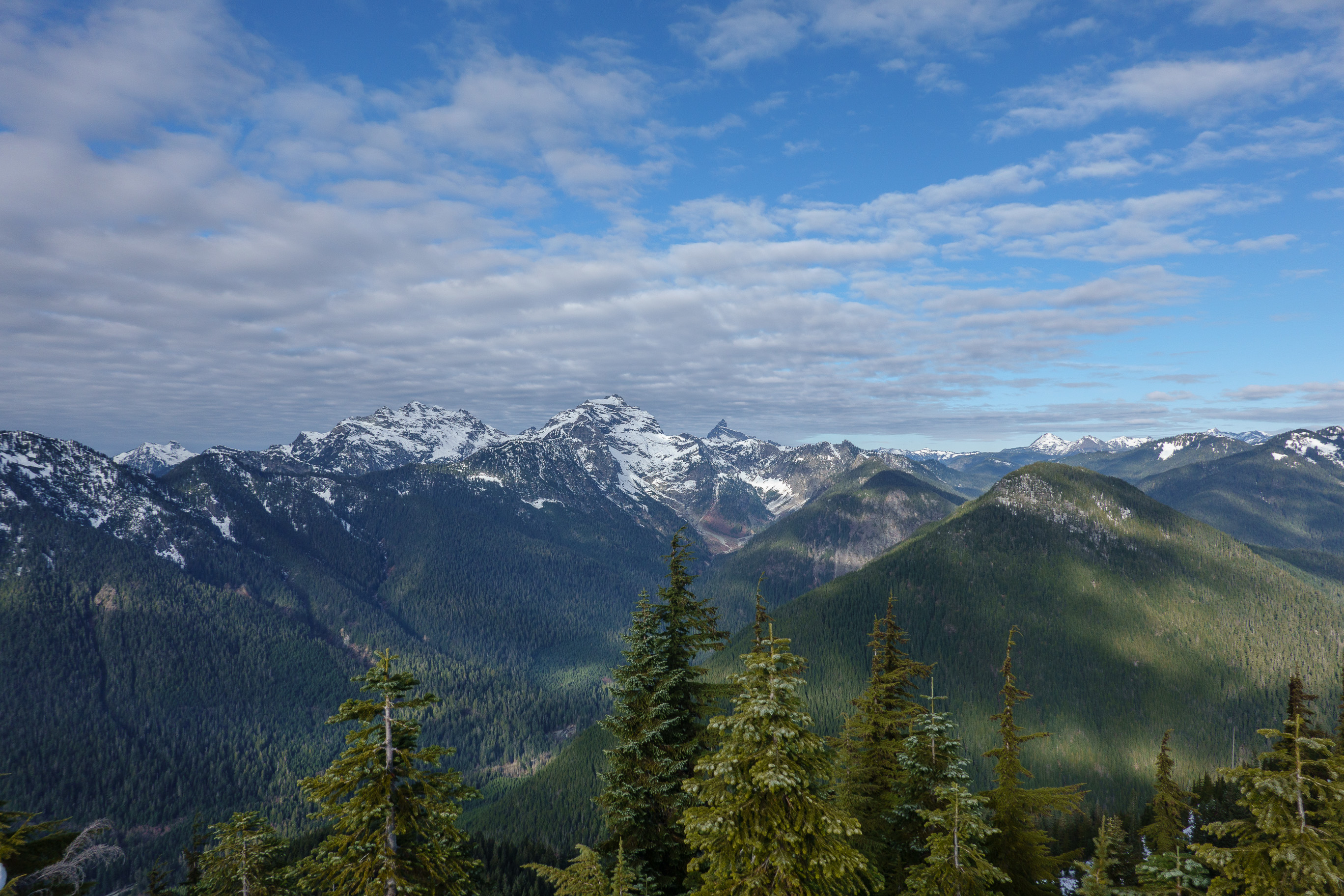 Frog Mountain — Washington Trails Association