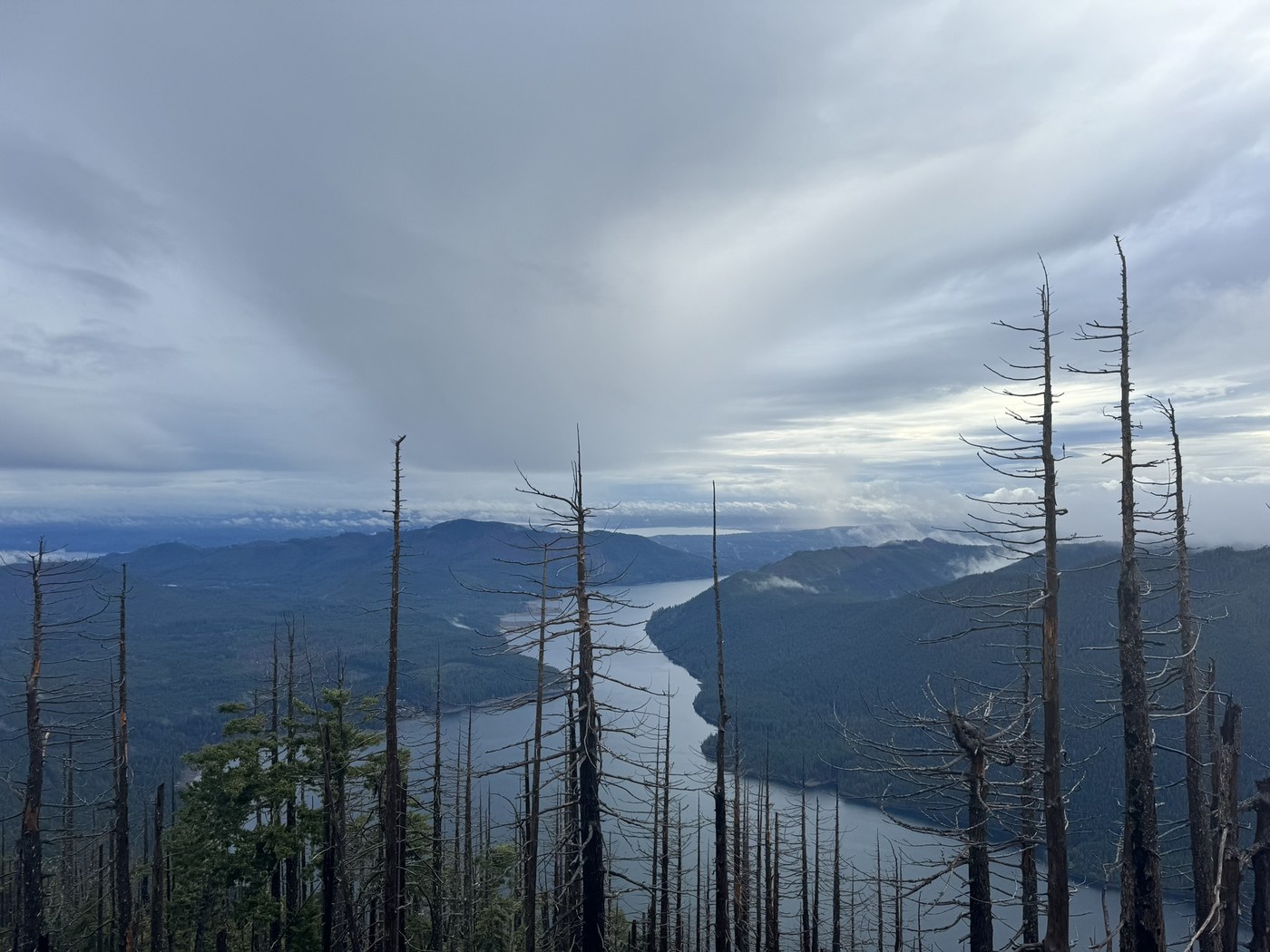Mount Rose by avocabro
