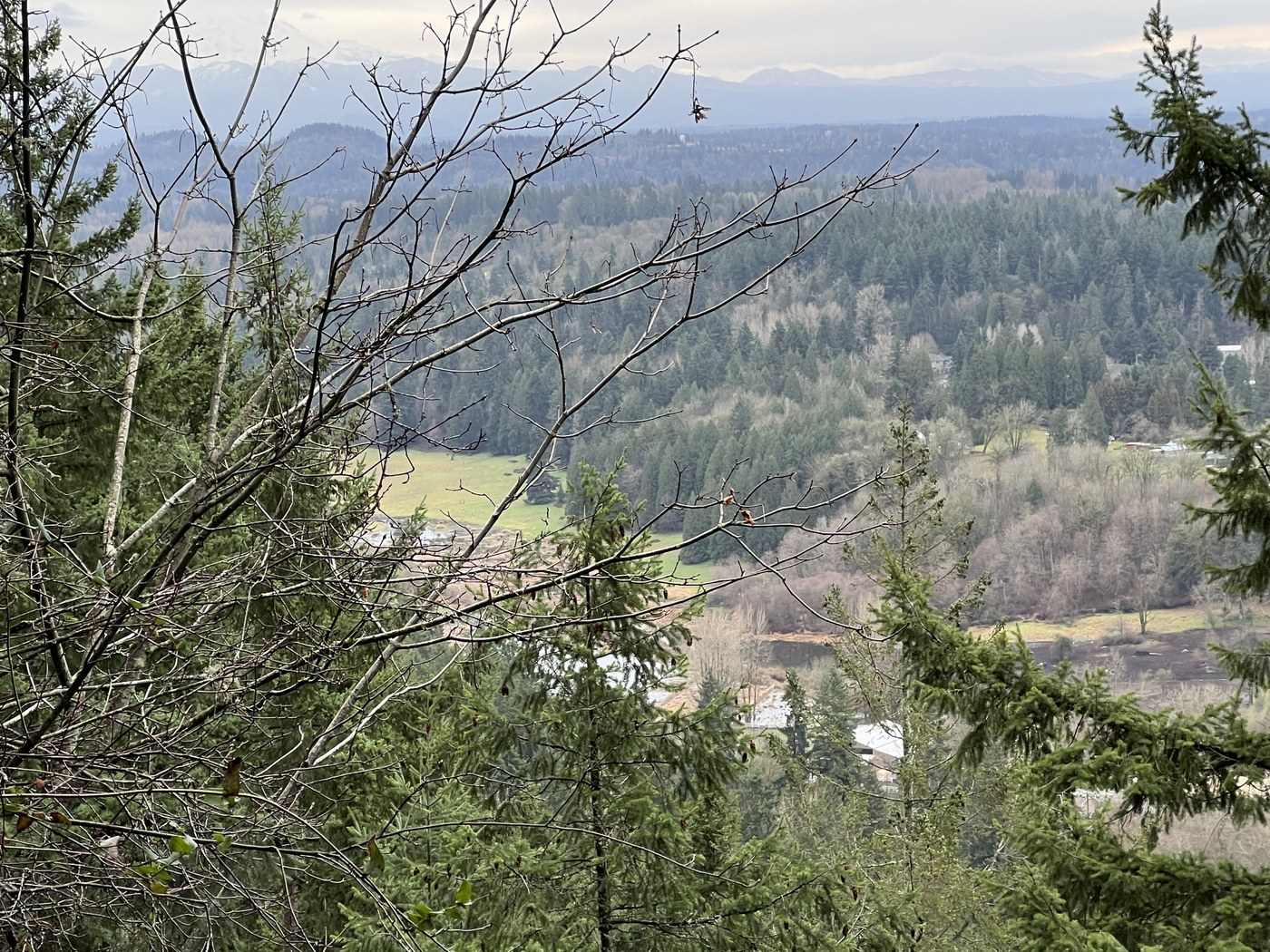 May Valley View- DeLeo Wall