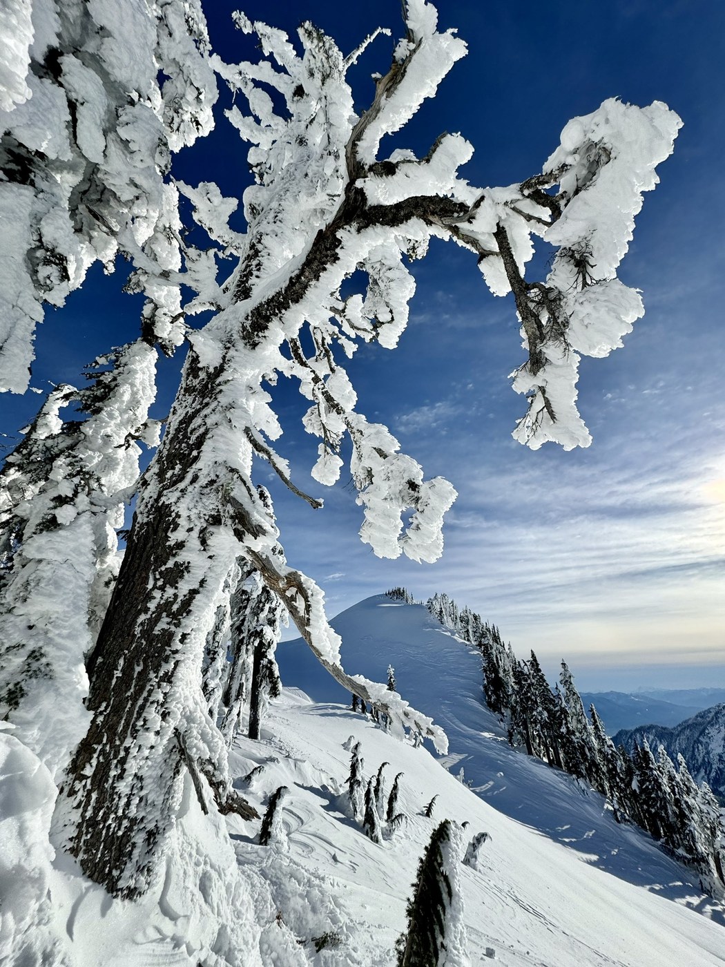 Artist Point Snowshoe by benhu