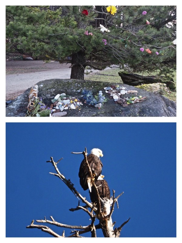 Nature's Art and Pair of eagles