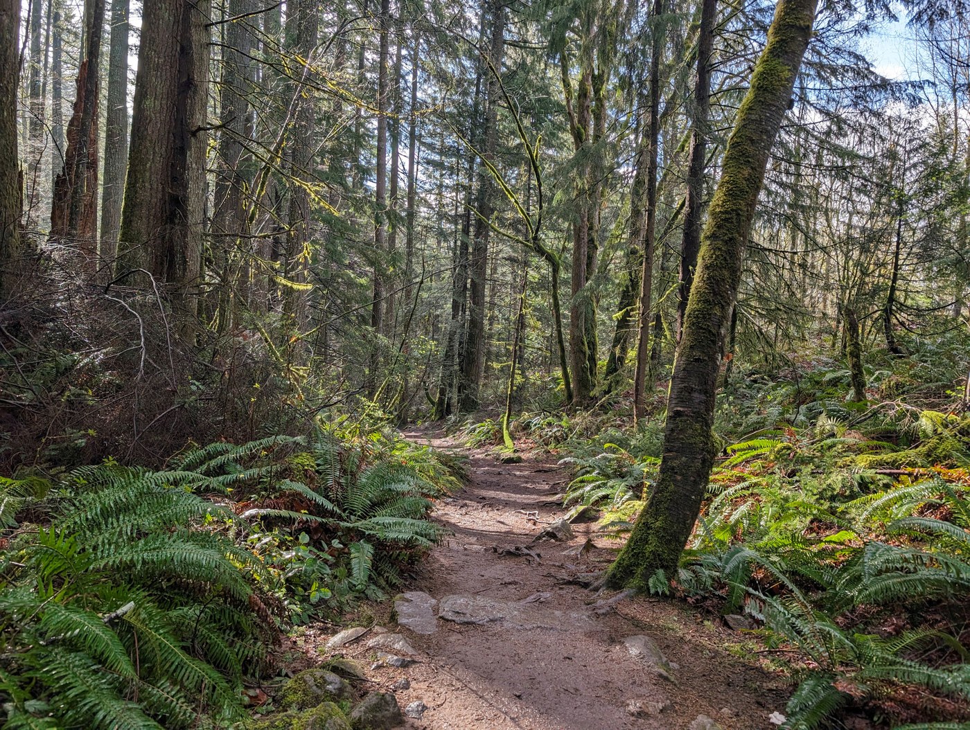 The sun came out on the way down!