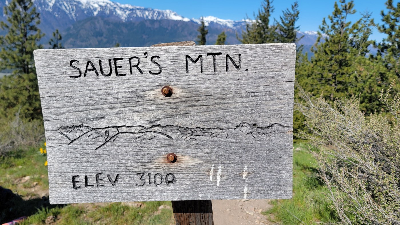 Sauer's Mountain — Washington Trails Association