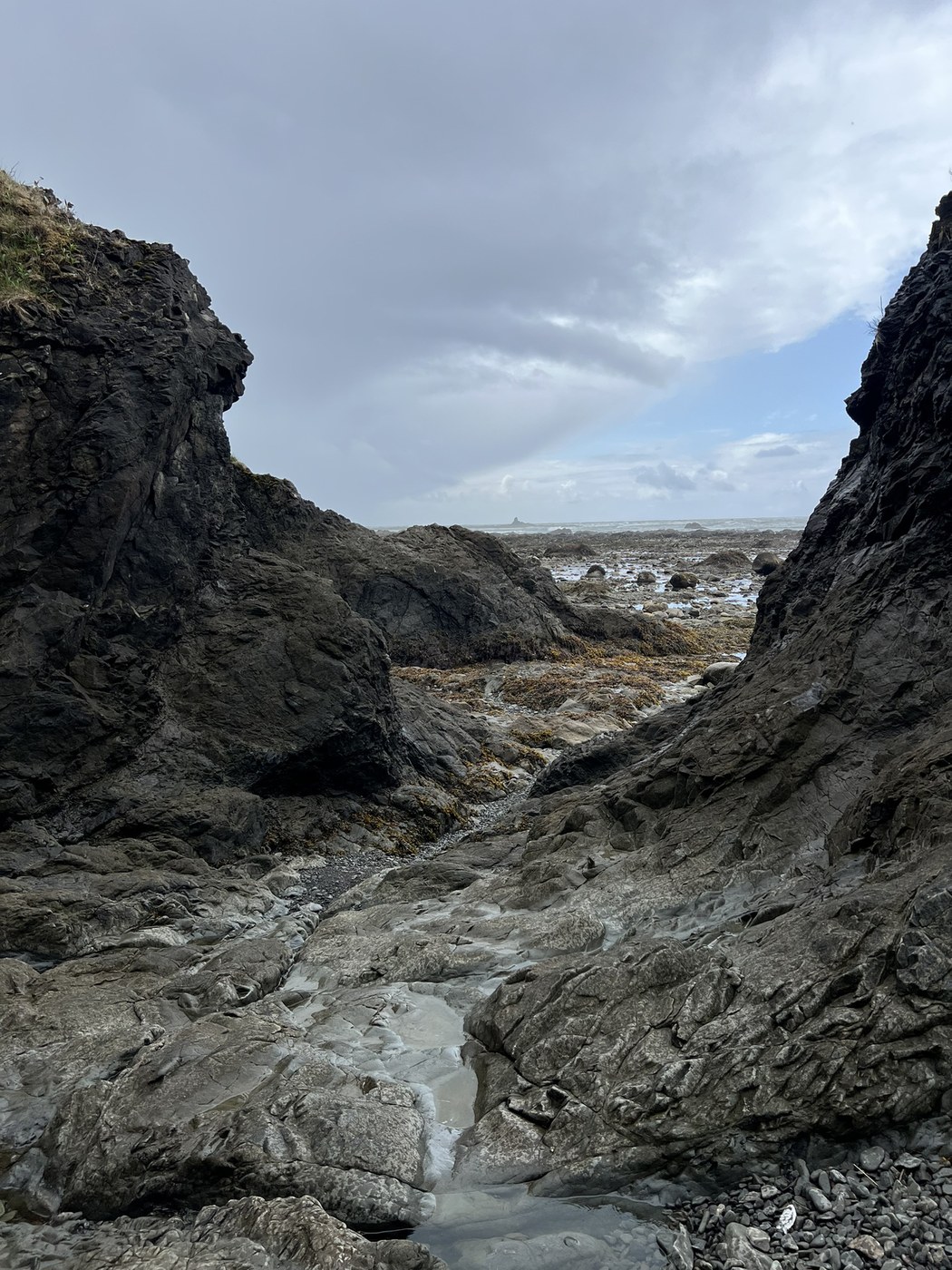 Cape Alava Loop (Ozette Triangle) by sureallyvolunteering