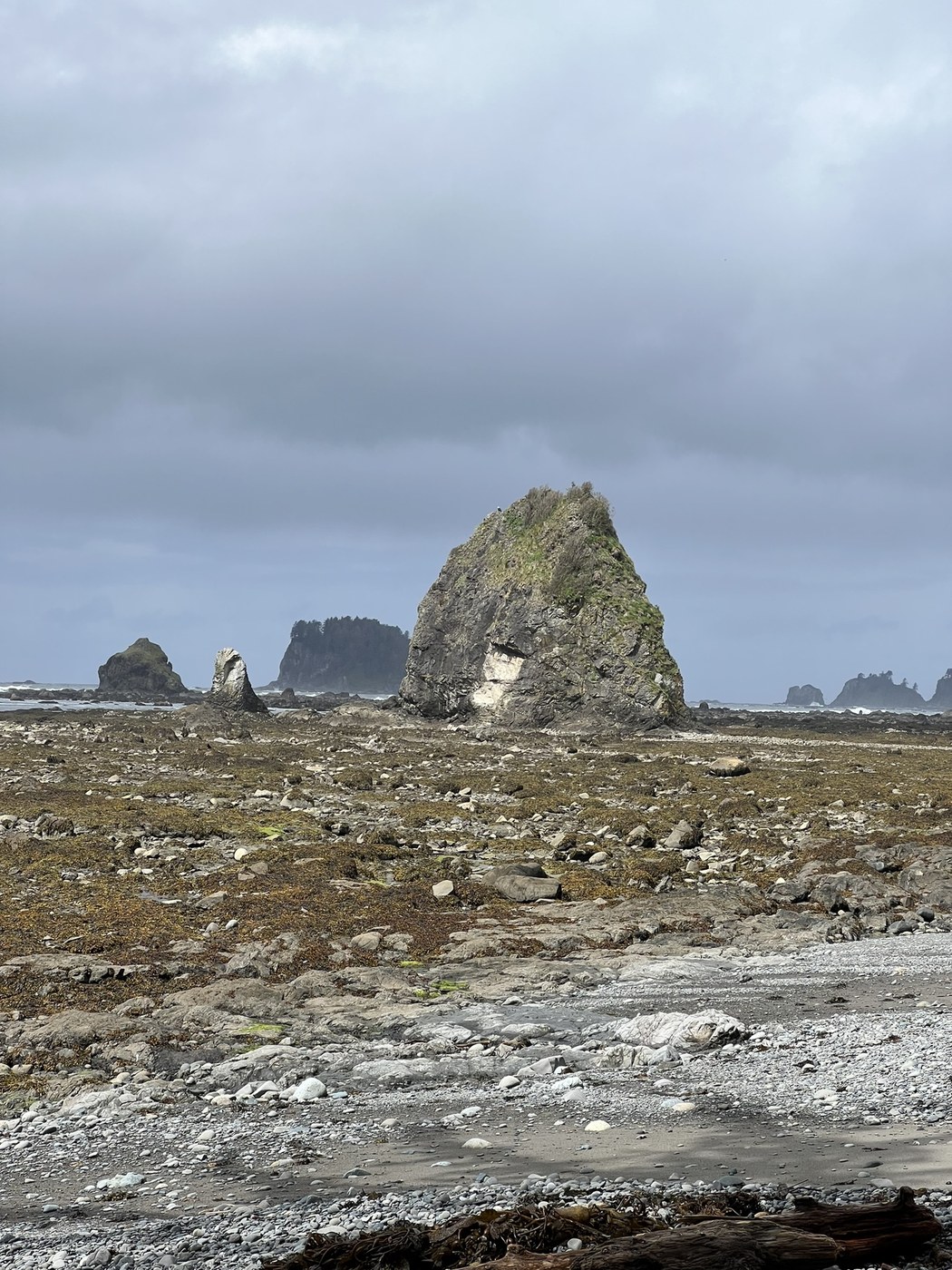 Cape Alava Loop (Ozette Triangle) by sureallyvolunteering