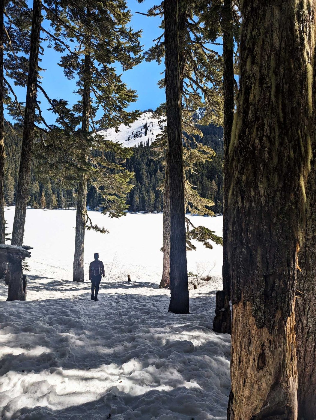 Talapus Lake Snowshoe, Talapus and Olallie Lakes by QueenoftheCascades