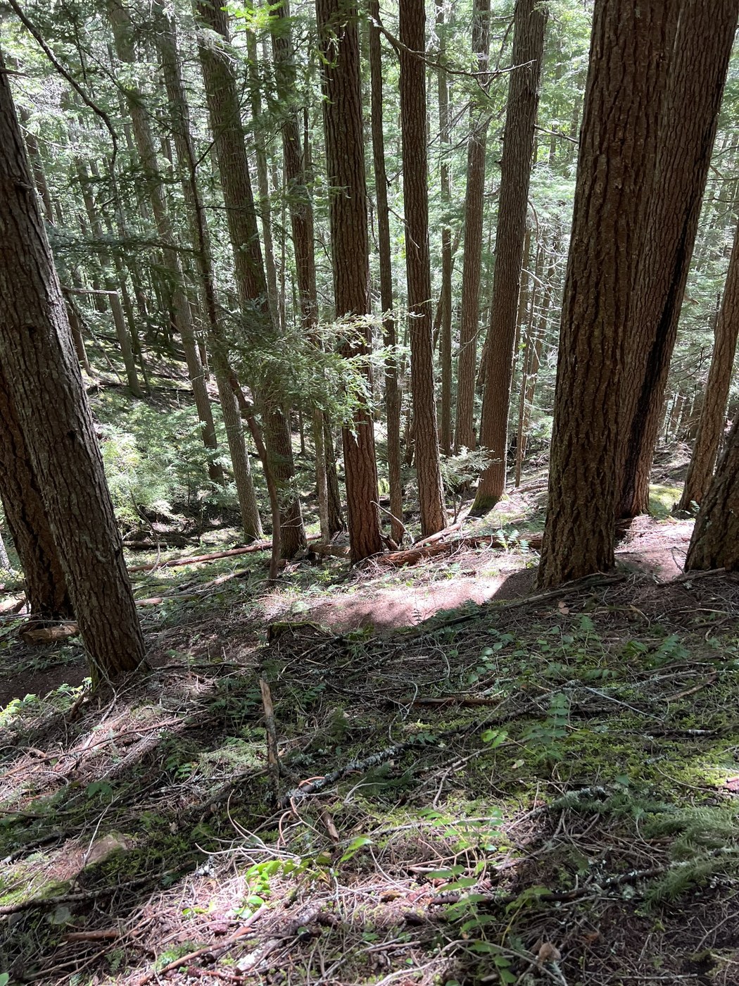 Sweeping Switchbacks Ranger Creek by Outside Nancy