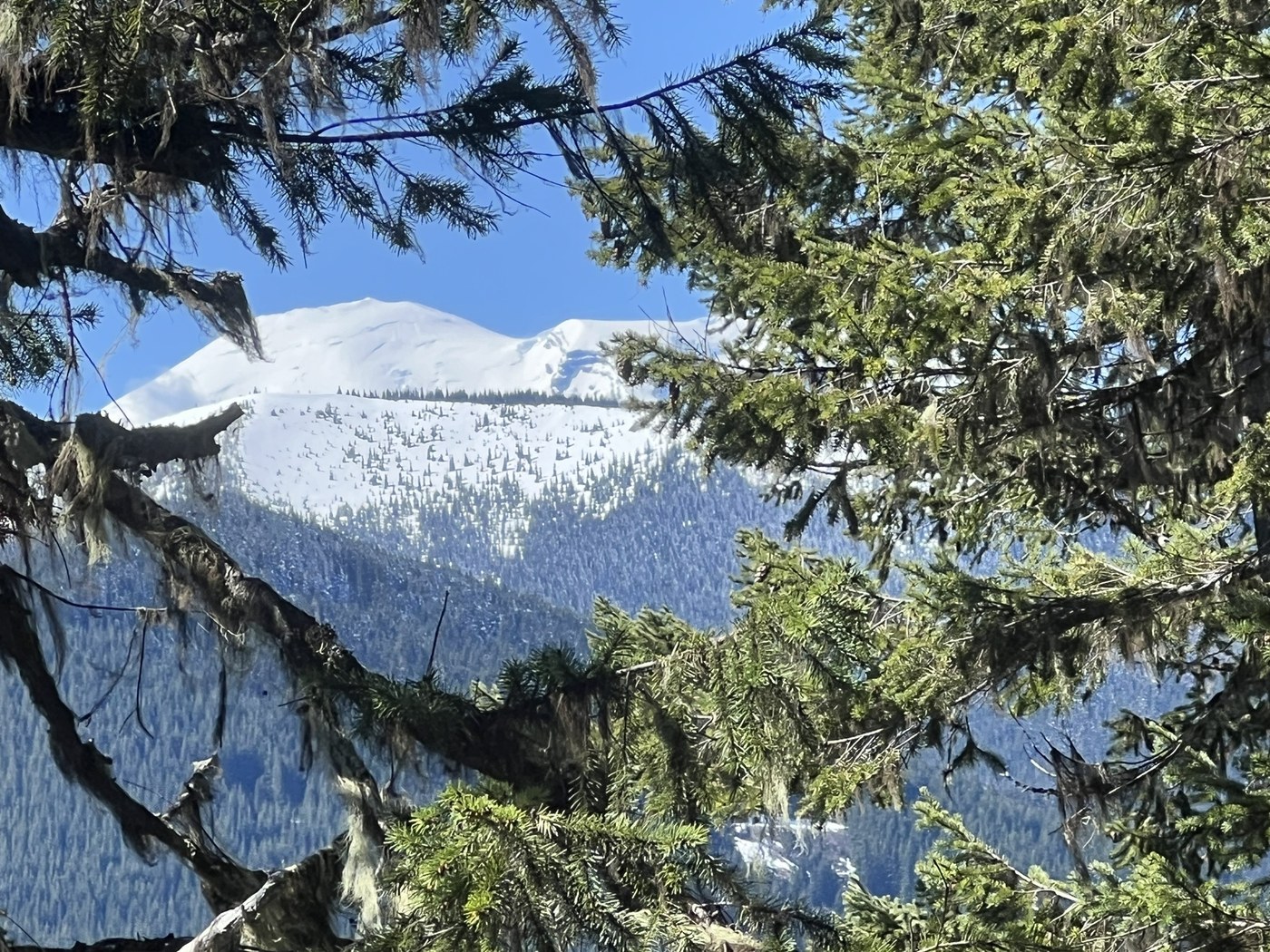 Mt Rainier Peak-a-Boo View by Outside Nancy
