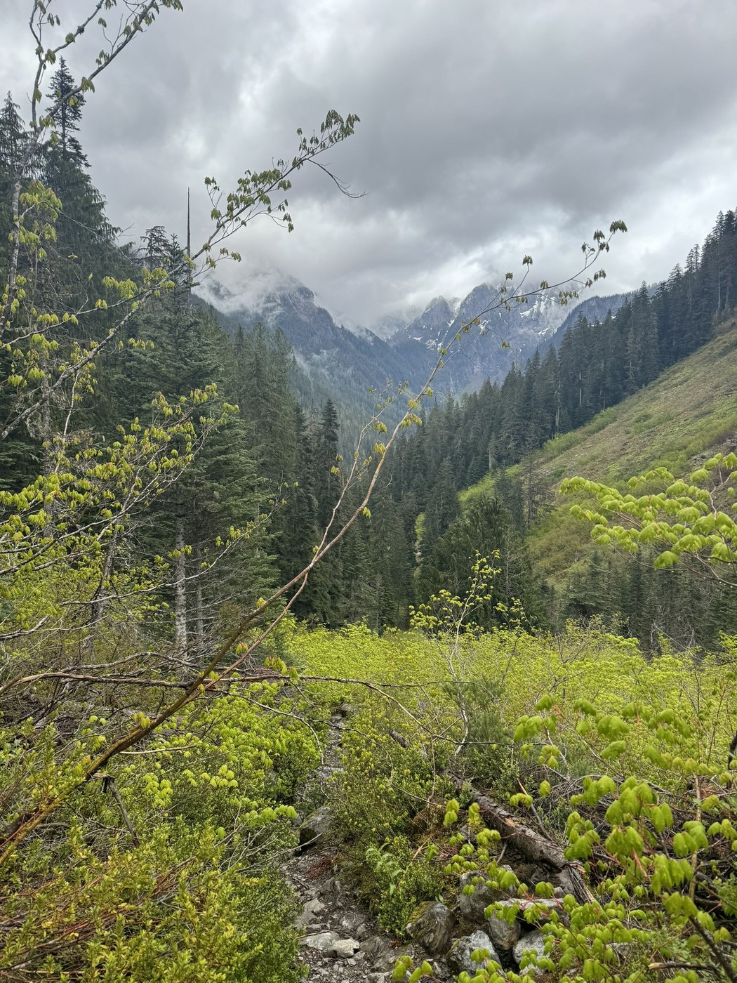 East Fork Foss - Necklace Valley by Freebaguettes
