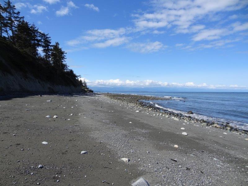 Beach Looking South