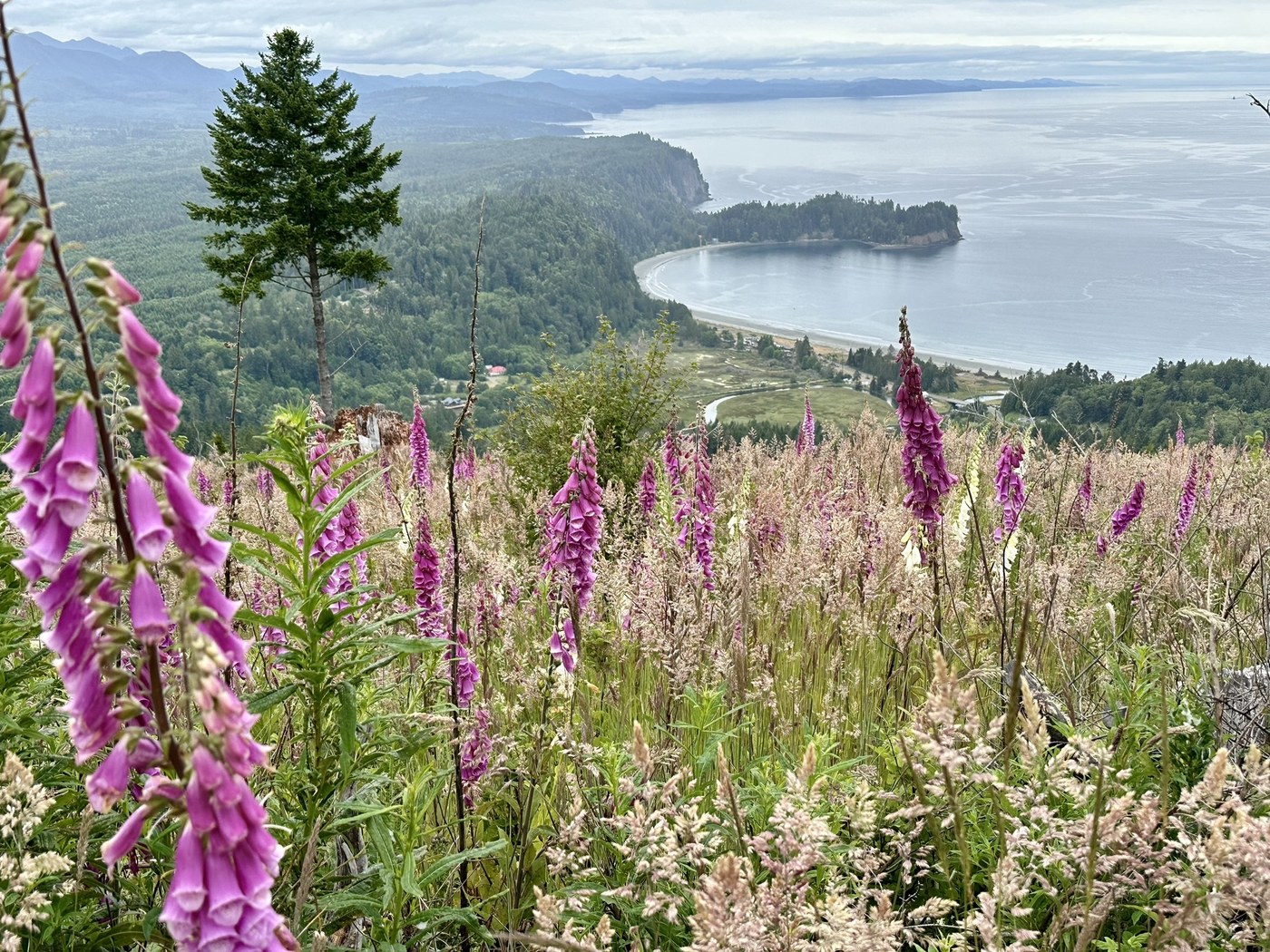 Striped Peak by Susan Elderkin