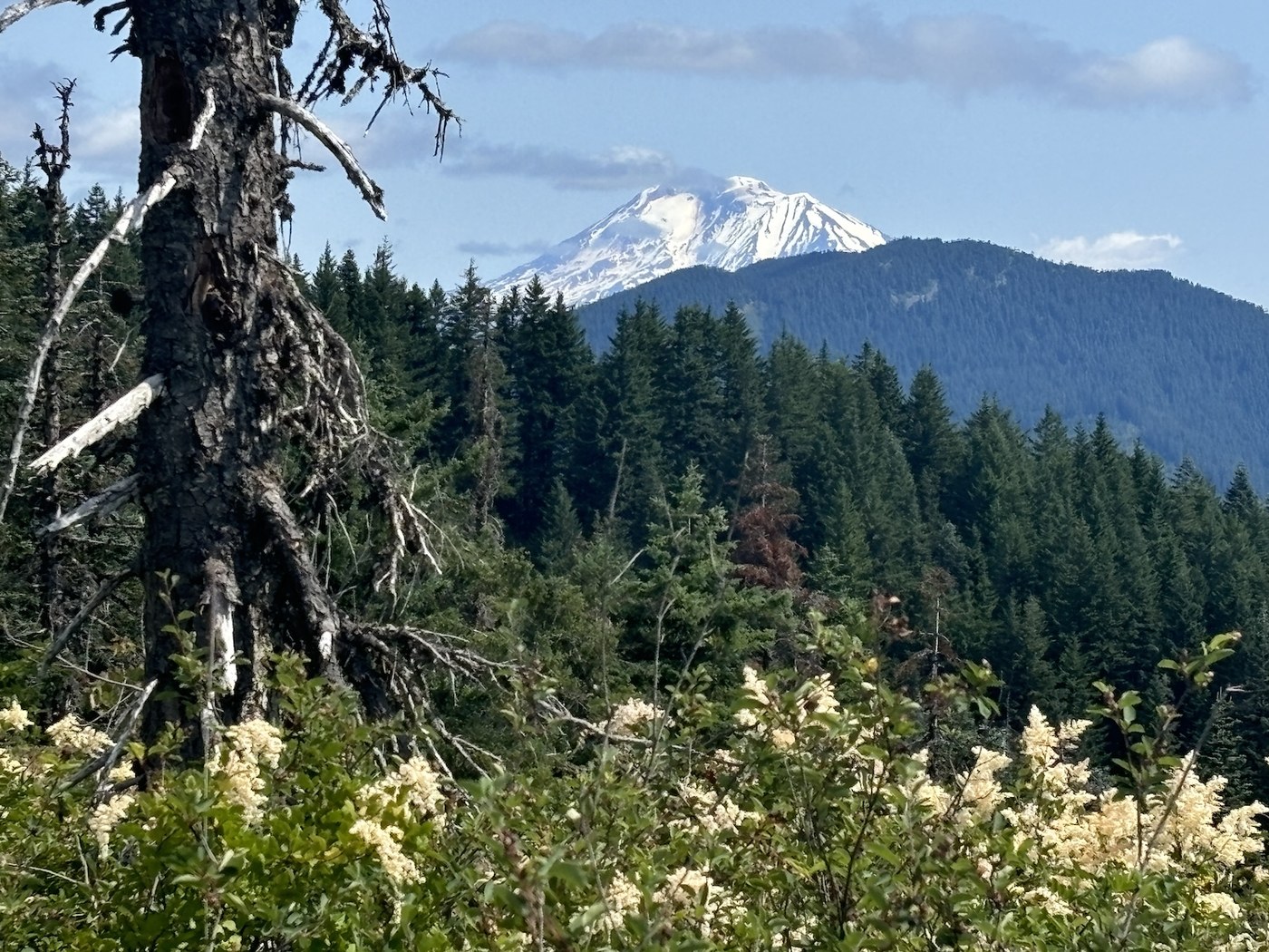 Grassy Knoll, Big Huckleberry Mountain — Washington Trails Association
