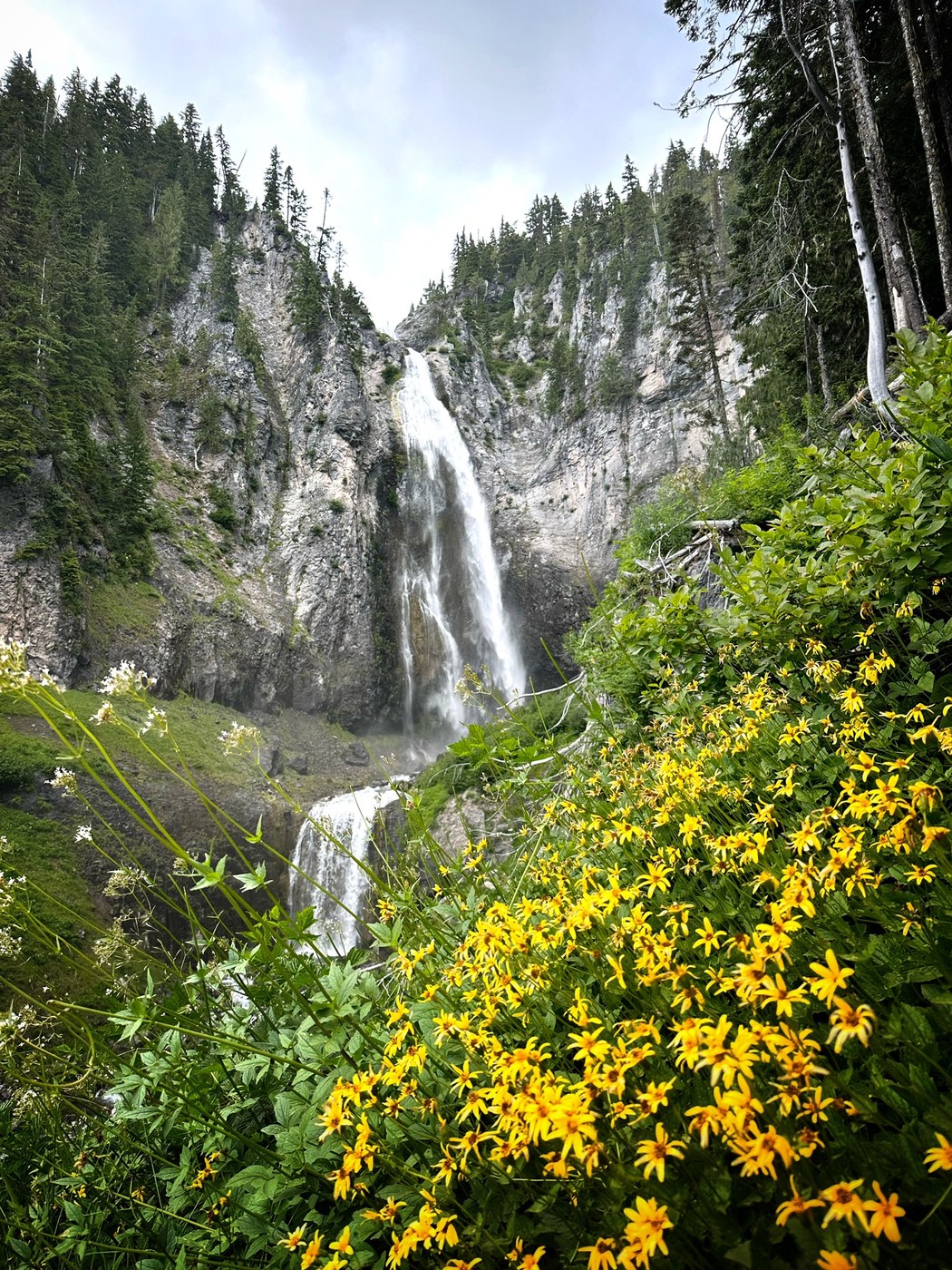 Comet Falls by Brian Decorah