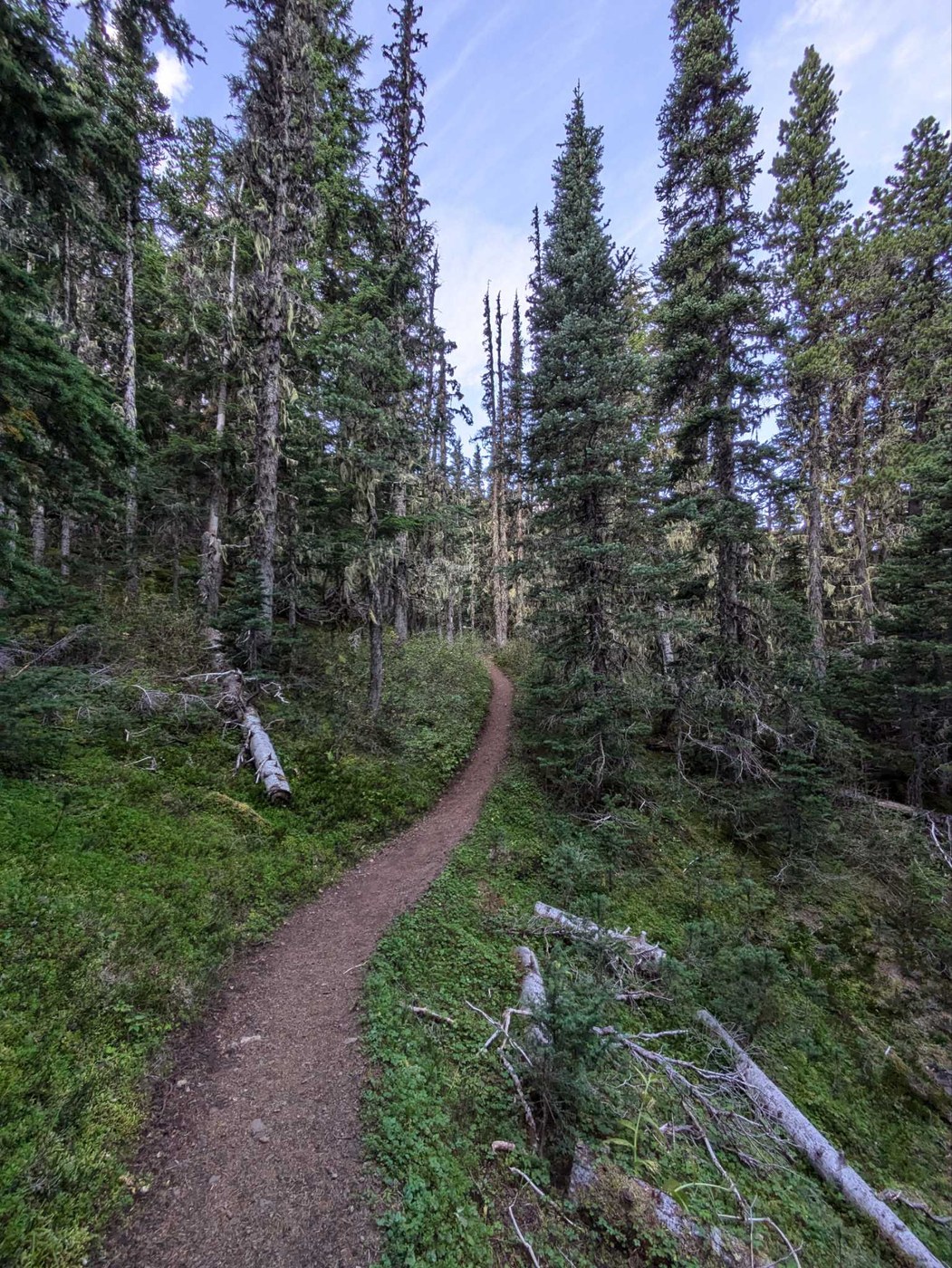 Mount Townsend by Alexandre Kaspar